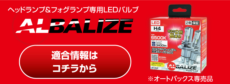 ALBALIZE 適合情報